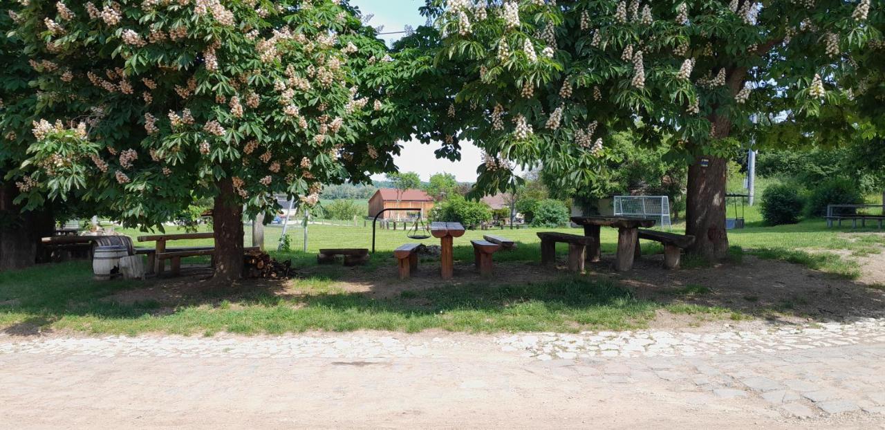 Ubytovani Na Sklepe U Prochazku Pouzdrany Экстерьер фото